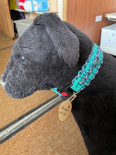 Beautiful paracord dog - beautiful,